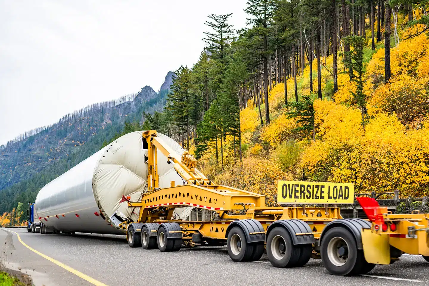Dangerous Goods & Oversized Cargo